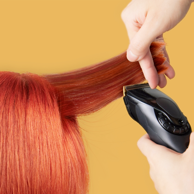  L’innovation au service des professionnels...