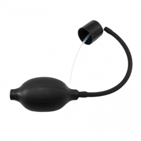 SPRAY PROFESSIONNEL (AVEC POIRE)